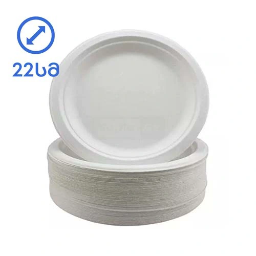 Disposable cardboard plate 22cm